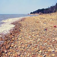 永安漁港南方海灣，數十公尺的灘面上佈滿手掌大小的鵝卵石，顯示此地海水的營力作用頗大。