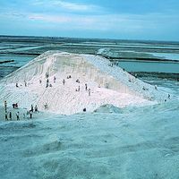 白色的七股鹽山聳立在寬廣的七股海埔地上，和周圍遍佈的鹽田形成此地採鹽業獨特的景觀。