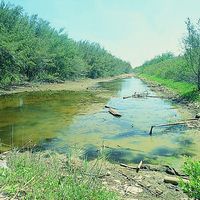 好美寮人工海埔地所造成的濕地，是一處具有相當豐富生態資源的景點，也是近年來生態旅遊發展相當成功的地方。看似不具經濟價值的沼澤地，其實蘊含著相當珍貴而多樣的自然資源。