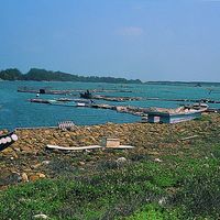 七股潟湖同時擁有海洋與湖泊的生態環境，大量的浮游生物聚集。當地漁民利用這個先天優勢進行養殖漁業。本照片中呈現著嘉義、台南沿海典型的地形景觀。