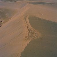 平直的沙丘面對風力吹拂，比較鬆散的地方先開始被風吹走而慢慢後退，慢慢的形成沙丘，成為台灣西南沿海的地景。
