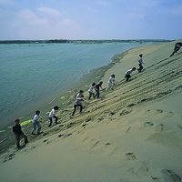 七股潟湖旁的沙洲，由沿岸流以及附近的曾文溪出海口提供沙源，加上風力的堆積，形成沙洲將潟湖與台灣海峽隔開。照片中有人在沙丘上活動，可以當成比例尺來推估沙丘堆積的高度，約有十公尺。