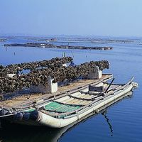 台灣最南端的潟湖－大鵬灣，目前是觀光局的國家風景特定區。日據時代曾經是水上機場，現在則是屏東縣重要的牡蠣產地，放眼望去全都是一排排的蚵架，形成一獨特的人類活動與環境結合的景觀。將來這裡會建設成為海上遊憩活動區。