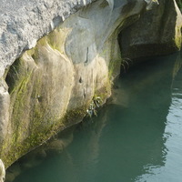 本圖呈現砂頁岩的交界，可明顯看出兩者顏色、坡度、表面形態的差異。其中砂岩層表面有青苔的覆蓋，顯示拍攝時的水位尚未達到最高水位。