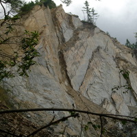 此區域的上半部為受岩層位態影響而成的順向坡，而下方的部分則為上方所崩落的物質進入河道時所形成的流路。
