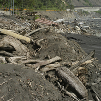在濁口溪河床上被洪水帶來的沈積物中可發現許多漂流木，是颱風過後常見的景象，由洪水搬運傾倒的樹木暫時堆積於此。在搬運過程中樹木的枝葉都已經損壞脫落，只剩下樹幹的部分。由於屬於公有財產，因此負責的林務局積極處理。