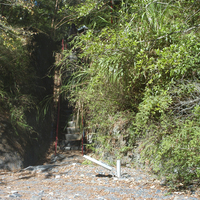 由於萬大溪河床淤積，造成路燈電桿也被掩埋。本照片為遠望之電桿與階梯。