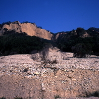 觀察沖積扇與後方邊坡的裸露地。沖積扇上大量的土石，即是由後方裸露地上崩落的礫石，經由流水搬運，最後移動至扇面上堆積所形成。