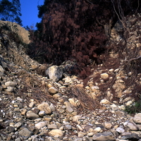 頭嵙山層的岩層中，有一部份含較多泥質組成。每當河道以及兩旁的邊坡受外力而產生破壞時，大小石塊及倒塌樹木的破碎枝幹，會混雜倒落於河道及蝕溝間，隨水流被帶到緩坡地堆積。