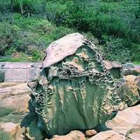 巨大的砂岩坐落於海蝕平台上，蜂窩岩遍佈於岩石表面。砂岩的表面皆已呈現高度風化而露出岩石內部，表面僅剩上部的一小塊。蜂窩岩的孔洞與孔洞內部之間多有連接，形成穿插交錯的複雜形貌。