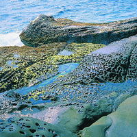 佳樂水岩石受到的侵蝕營力，除了主要的海水直接拍打外，海水中鹽分的溶解及結晶，以及重複乾濕等作用亦有相當程度的影響。而照片中所見的類似苔蘚類所產生之生物性風化，也是塑造佳樂水豐富地形的重要營力之一。