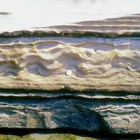 佳樂水除多變的地形引人入勝外，豐富的沉積構造是另一項增添佳樂水地景價值的要素。如照片中岩層上的荷重鑄形沉積構造。