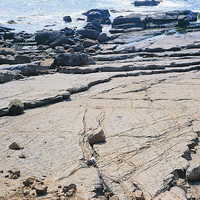 微傾斜的岩層出露在海面，上有許多石塊散佈於其上，觀察石塊的形狀多還保有長方體的外觀，多是因岩層節理裂隙擴大使岩石失去支撐而脫落。