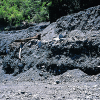 照片中崩落的岩屑有明顯的兩個層次，顯示是由兩次（或以上）的崩塌所產生的堆積，這顯示921地震之後，豪雨使鬆動的土石再次移動。