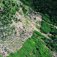 造成七二水災土石災害的源頭是921地震所產生的崩塌地，而非土地大規模開發作為農業使用。照片中種植果樹的區域（中央偏下方植被稀疏處）並未成災。