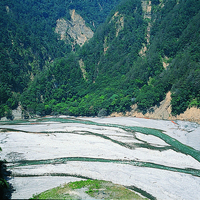 大甲溪河床堆積大量土石及岩屑，使得河床明顯堆高，河岸侵蝕更加嚴重。