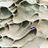 屏東佳樂水的砂岩受到鹽以及風吹、日曬、雨淋等風化作用而形成類似「風化窗」的特殊形貌。