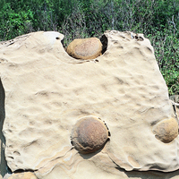 屏東佳樂水的砂岩在沈積時形成圓球狀的「結核」，夾雜在岩塊中，因相對較硬而突出。