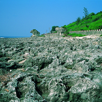 屏東小琉球的珊瑚裙礁。由於海岸環境適合珊瑚生長，所以小琉球海岸有許多珊瑚裙礁環繞。這些珊瑚在地殼抬升作用下而慢慢離開海水的侵蝕，所以珊瑚裙礁的範圍持續擴大。