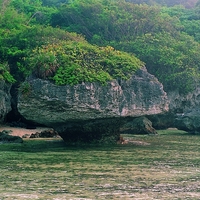 屏東東港小琉球香菇石。原本孤立於海中的珊瑚礁岩體受到海蝕作用，形成上大下小，外型類似香菇的「香菇岩」。下方的凹陷主要是海水侵蝕所形成的「海蝕凹壁」。