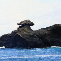 台東東海岸的著名地景：石雨傘。石雨傘在地形上屬於平衡岩，上方的珊瑚礁岩塊與下方的岩石，只靠小小的接觸面支撐，形成類似雨傘、蘑菇的外貌。