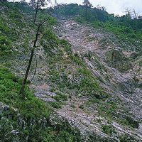 921地震使原本翠綠的邊坡產生崩塌。如果崩塌的深度大，崩落的土石又很完整，原本長在崩落土石上的植生有可能一起完整的滑落下來，形成裸露的崖面。
