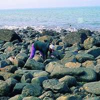 在馬祖永留嶼南邊是一片礫石海灘，在退潮時會露出大片的潮汐灘地，有許多的海濱生物，部份居民登陸來撿拾貝類。海浪拍打這片礫石海灘，滾磨花岡岩鵝卵石，形成非常稀有的地景。