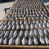 曝曬小魚干，是桶盤地質公園當地居民的經濟收入來源之一。也是傳統的曝曬方法。