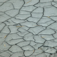 月世界泥岩地區年雨量少，乾季明顯，因日曬以致水分蒸發，產生龜裂現象，即所謂的「泥裂」，這是泥岩地區常可見到的地形景觀。