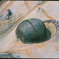 照片中的地球石，因風及海水外營力的作用而出露，形成野柳一景。當周圍的岩層被侵蝕掉後球狀體會慢慢失去支撐而掉落，如照片中的凹陷處。
