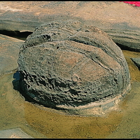 地球石為野柳的特殊小地形，地球石原本為地層中的球狀體，因抗蝕力較周圍岩層來得強，在差異侵蝕作用下逐漸露出於地表。此小地形的成因與外型與蕈狀岩十分相似。
