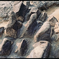 野柳的豆腐岩因風化、侵蝕作用而形成突出的外形，相對於周圍岩石堅硬，抗蝕力較強，外型貌似恐龍背上的疣狀突起物，因此吸引眾多遊客的目光。