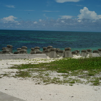 在東沙島可以看到許多白色的沙灘。東沙島是南海數百個陸礁島嶼中，最大的一個珊瑚礁島嶼，完全由珊瑚與貝殼碎屑經歷數千萬年堆積而來。陽光照射下呈現白色耀眼的景觀。