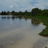東沙島環抱一潟湖，在退潮時水深不及1公尺。潟湖由於受周遭陸地及植物影響，是相對較靜止的水體。