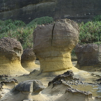 野柳蕈狀岩因似蕈狀而得名，又稱為「蕈岩擎柱石」、「蘑菇石」。因為上下岩性的不同，上層抗侵蝕較強，下層相對較弱，而形成上粗下細的外型。蕈岩表面常有上、下方向的節理，若長期風化侵蝕下，蕈岩易因節理分割成兩半。