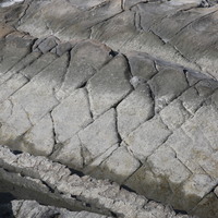在海階上可以見到岩石受減壓、侵蝕、風化作用而有許多裂隙，這是由於富岡砂岩節理發達，海水沿著兩組節理持續侵蝕，終至形成的豆腐岩小地形。
