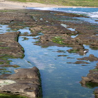 潮間帶。當潮溝受到海浪侵蝕後，規模逐漸擴大可形成壺溝，退潮時形成一大片低窪處，儼然是自成一格的小型生態系。常可見海洋生物與植物生長其中。