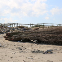 編籬固沙－在海岸沙丘堆積完成前或無飛砂但風力十分強勁的地區，為確保植生、林木能儘速成長，經常會施作編籬固沙法。防風籬的高度約2公尺，支柱以竹子為材質，竹片寬約2-3公分，間距為1.5-2.0公分，每隔200公分設置竹幹為支柱，水平方向設置若干竹幹以補強，並增加防風效果。