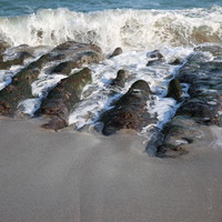 海水攜帶沙礫不斷淤積，除了會造成石槽被沙礫掩埋，同時也會降低藻類礁體附著於石槽上之機率。