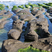 特殊的「石槽」地形景觀，在冬季東北季風盛行時，浪花拍打流動過石槽的表面，開始滋生「石蓴」、「裂片石蓴」和「扁石髮」等綠色的海藻，等到四月份東北季風漸歇，石槽就長滿了一大片綠色海藻，形成「綠石槽」海岸景觀。