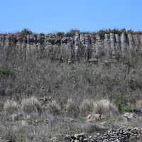虎井嶼東山高聳的玄武岩柱邊坡，下方為掉落的玄武岩巨礫崖錐，因為被風化成為土壤，使植物可以生長，形成綠色的坡腳。
