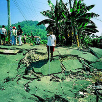 台中霧峰地區道路，受到921集集大地震的影響，道路斷裂隆起約1.5-2公尺左右，突然的擠壓讓路面柏油片片剝落、斷裂。