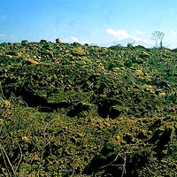 原坡面的植生與岩屑順著層面崩落，堆積在九份二山的下邊坡，形成大量的土石方。崩落下來的物質顆粒細小、結合力差，顯示本區的地質風化程度很深。