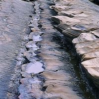圖為台東縣小野柳傾斜的砂、頁岩互層。由於差異侵蝕的緣故，較軟的薄頁岩層因此被侵蝕而凹入，較硬的薄砂岩層因此突出。