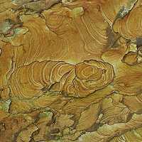	


野柳的風化紋也是另一個極具特色的特殊地貌。其形成原因是地下水沿著節理滲出來，因為重複乾濕作用，地下水中的鐵離子沉澱在岩層中，形成一道道的黃褐色紋路。
