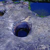海成壺穴也是野柳的小地景之一。主要的成因是海水在岩石表面拍打，再加上鹽結晶與重複乾濕作用所形成。通常壺穴的造型是口小底大，有時中間還會有更小的壺穴，形成複合壺穴。