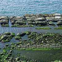 	


在野柳岬西北側，接近海水面的位置附近有「豆腐岩」小地景，其形成原因是岩層受到大地構造應力而產生兩組平行節理，岩體被海水切割而形成塊狀的岩塊，很類似豆腐的外型，因此取其形而稱之為豆腐岩。
