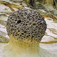 照片中的蕈狀岩是屬於短頸型，分佈在細頸式與無頸式蕈狀岩之間，造型十分特殊。