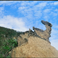 瑪玲鳥石是以其外型來命名，因為差異侵蝕作用，使較硬的岩石留下來形成外型奇特的石塊，像一隻巨鳥回首望，為野柳著名的地標之一。