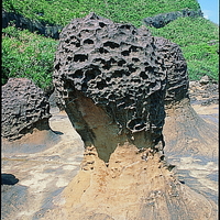 照片中的蕈狀岩屬於細頸蕈狀岩，顯示此蕈狀岩已受到一段時間的風化作用。上方頭部岩體有蜂窩岩的形成。